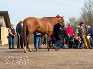 BP200326-65 - It's Hard To Know